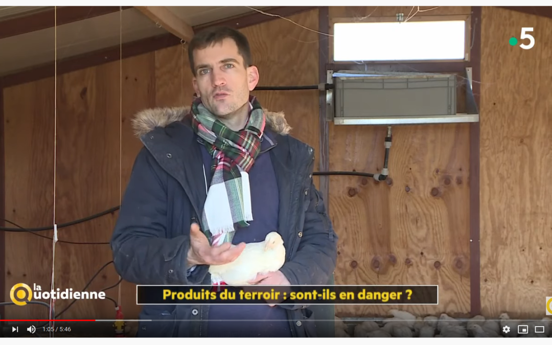 Emission « La Quotidienne »