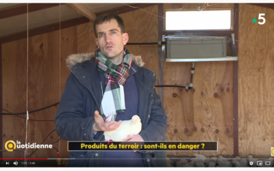Emission « La Quotidienne »