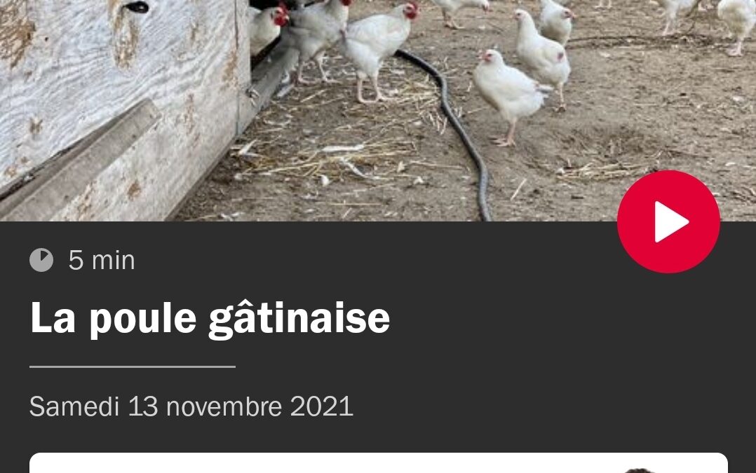 La chronique « Le Marché de François-Régis Gaudry »